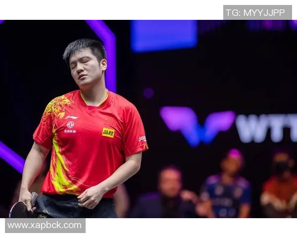 樊振东加盟德甲引发热议勒布伦期待欧冠对决球迷期待巴黎组合再聚首